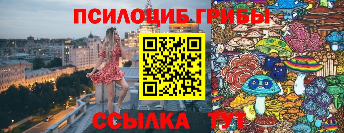 Галлюциногенные грибы Magic Shrooms  Вход с VPN  Россия  Галлюциногенные грибы Psilocybe 